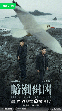 公路式急诊室一夜